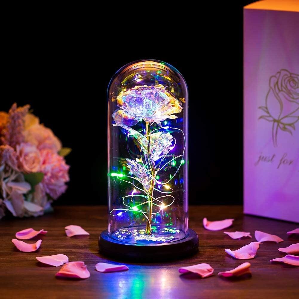 Amour Enchanted Rose